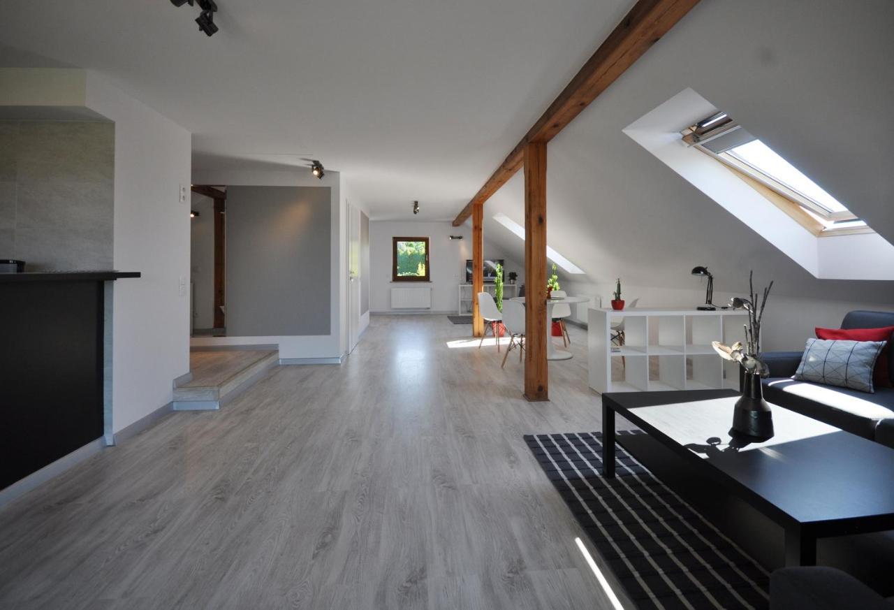 Апартаменты Apartament Widok Na Karkonosze Jezow Sudecki Экстерьер фото